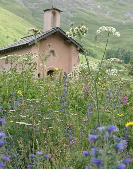 Chapelle St Gras par MF Martin 